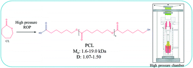 Graphical abstract: High pressure water-initiated ring opening polymerization for the synthesis of well-defined α-hydroxy-ω-(carboxylic acid) polycaprolactones