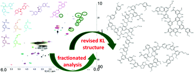Graphical abstract: On the structure of softwood kraft lignin