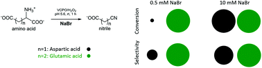 Graphical abstract: Unusual differences in the reactivity of glutamic and aspartic acid in oxidative decarboxylation reactions