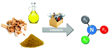 Graphical abstract: Bio-based amines through sustainable heterogeneous catalysis