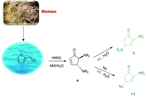 Graphical abstract: Water excellent solvent for the synthesis of bifunctionalized cyclopentenones from furfural