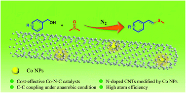 Graphical abstract: Cobalt modified N-doped carbon nanotubes for catalytic C [[double bond, length as m-dash]] C bond formation via dehydrogenative coupling of benzyl alcohols and DMSO