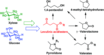 Graphical abstract: Conversion of levulinic acid and alkyl levulinates into biofuels and high-value chemicals