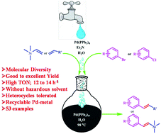 Graphical abstract: An efficient palladium catalyzed Mizoroki–Heck cross-coupling in water