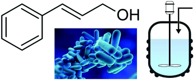 Graphical abstract: Bio-derived production of cinnamyl alcohol via a three step biocatalytic cascade and metabolic engineering