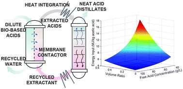 Graphical abstract: In situ recovery of bio-based carboxylic acids