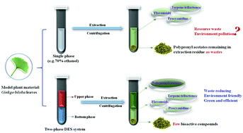 Graphical abstract: Two-phase systems developed with hydrophilic and hydrophobic deep eutectic solvents for simultaneously extracting various bioactive compounds with different polarities