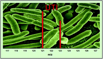 Graphical abstract: Trace element analysis of urine by ICP-MS/MS to identify urinary tract infection