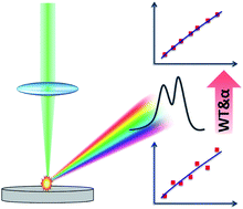 Graphical abstract: Wavelet-based interference correction for laser-induced breakdown spectroscopy