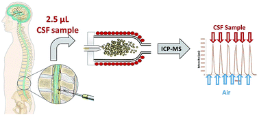 Graphical abstract: Cerebrospinal fluid elemental analysis by using a total sample consumption system operated at high temperature adapted to inductively coupled plasma mass spectrometry