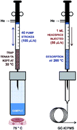 Graphical abstract: Sub-ppt determination of butyltins, methylmercury and inorganic mercury in natural waters by dynamic headspace in-tube extraction and GC-ICPMS detection