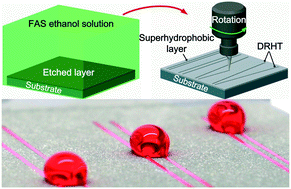 Graphical abstract: Anisotropic sliding on dual-rail hydrophilic tracks