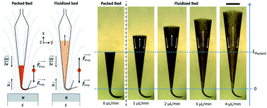 Graphical abstract: Magnetic fluidized bed for solid phase extraction in microfluidic systems