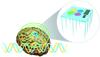 Graphical abstract: Microfluidic neural probes: in vivo tools for advancing neuroscience