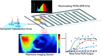 Graphical abstract: Rapid real-time recirculating PCR using localized surface plasmon resonance (LSPR) and piezo-electric pumping