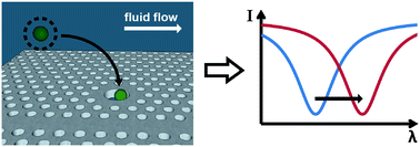 Graphical abstract: Recognition-mediated particle detection under microfluidic flow with waveguide-coupled 2D photonic crystals: towards integrated photonic virus detectors