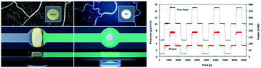 Graphical abstract: Precision control of flow rate in microfluidic channels using photoresponsive soft polymer actuators