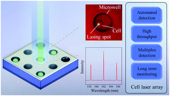 Graphical abstract: An integrated microwell array platform for cell lasing analysis