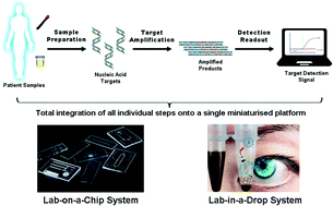 Graphical abstract: Enabling miniaturised personalised diagnostics: from lab-on-a-chip to lab-in-a-drop