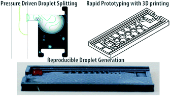 Graphical abstract: Magnetically manipulated droplet splitting on a 3D-printed device to carry out a complexometric assay
