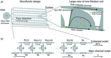 Graphical abstract: Streamline-based purification of bacterial samples from liquefied sputum utilizing microfluidics