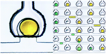 Graphical abstract: Controlled droplet discretization and manipulation using membrane displacement traps