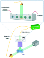 Graphical abstract: Full-angle tomographic phase microscopy of flowing quasi-spherical cells