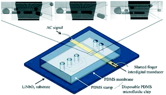 Graphical abstract: On-demand acoustic droplet splitting and steering in a disposable microfluidic chip