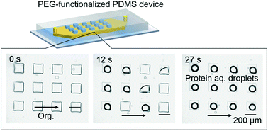 Graphical abstract: Dynamic wettability of polyethylene glycol-modified poly(dimethylsiloxane) surfaces in an aqueous/organic two-phase system