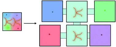 Graphical abstract: HOMEs for plants and microbes – a phenotyping approach with quantitative control of signaling between organisms and their individual environments