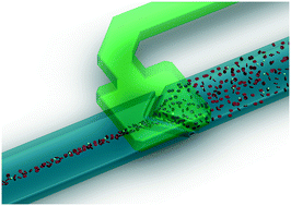 Graphical abstract: Elastomeric microvalve geometry affects haemocompatibility