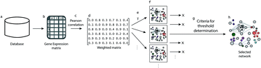 Graphical abstract: Effects of threshold on the topology of gene co-expression networks