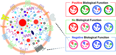 Graphical abstract: Emergent properties of extracellular vesicles: a holistic approach to decode the complexity of intercellular communication networks