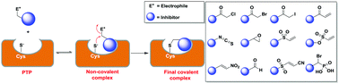 Graphical abstract: Covalent inhibition of protein tyrosine phosphatases