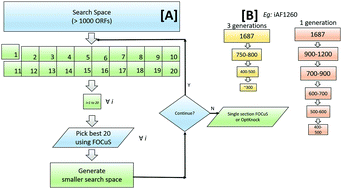 Graphical abstract: FOCuS: a metaheuristic algorithm for computing knockouts from genome-scale models for strain optimization