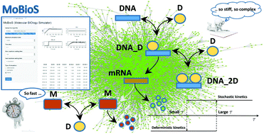 Graphical abstract: Hybrid deterministic/stochastic simulation of complex biochemical systems