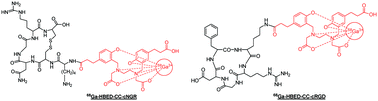 Graphical abstract: 68Ga-Chelation and comparative evaluation of N,N′-bis-[2-hydroxy-5-(carboxyethyl)benzyl]ethylenediamine-N,N′-diacetic acid (HBED-CC) conjugated NGR and RGD peptides as tumor targeted molecular imaging probes