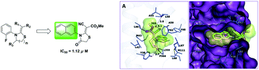 Graphical abstract: Synthesis, structure–activity relationship and binding mode analysis of 4-thiazolidinone derivatives as novel inhibitors of human dihydroorotate dehydrogenase