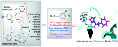 Graphical abstract: Discovery of potential antifungal triazoles: design, synthesis, biological evaluation, and preliminary antifungal mechanism exploration