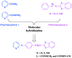 Graphical abstract: Benzylsulfanyl benzo-heterocycle amides and hydrazones as new agents against drug-susceptible and resistant Mycobacterium tuberculosis