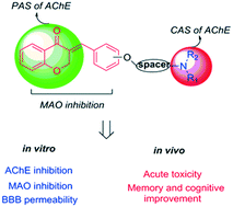 Graphical abstract: Synthesis and pharmacological evaluation of multi-functional homoisoflavonoid derivatives as potent inhibitors of monoamine oxidase B and cholinesterase for the treatment of Alzheimer's disease