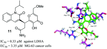 Graphical abstract: Discovery of human lactate dehydrogenase A (LDHA) inhibitors as anticancer agents to inhibit the proliferation of MG-63 osteosarcoma cells