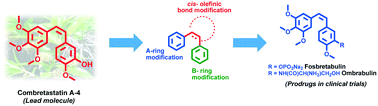 Graphical abstract: Recent advances in combretastatin based derivatives and prodrugs as antimitotic agents