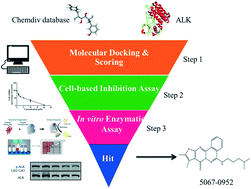 Graphical abstract: Identification of a potent kinase inhibitor targeting EML4-ALK fusion protein in non-small cell lung cancer