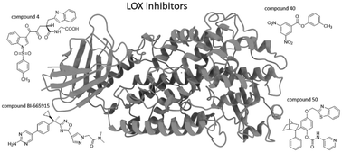 Graphical abstract: Recent development of lipoxygenase inhibitors as anti-inflammatory agents