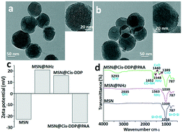 Graphical abstract: Cancer nanomedicine: from PDGF targeted drug delivery