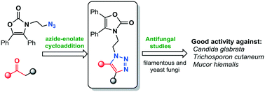 Graphical abstract: Synthesis and antifungal activity of novel oxazolidin-2-one-linked 1,2,3-triazole derivatives