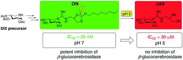 Graphical abstract: Orthoester functionalized N-guanidino derivatives of 1,5-dideoxy-1,5-imino-d-xylitol as pH-responsive inhibitors of β-glucocerebrosidase