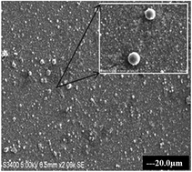 Graphical abstract: Novel T-C@AgNPs mediated biocidal mechanism against biofilm associated methicillin-resistant Staphylococcus aureus (Bap-MRSA) 090, cytotoxicity and its molecular docking studies