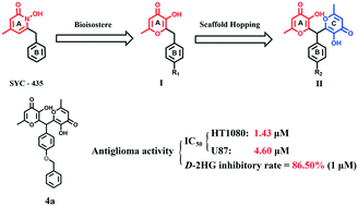 Graphical abstract: Design, synthesis and biological evaluation of novel 5-hydroxy-2-methyl-4H-pyran-4-one derivatives as antiglioma agents